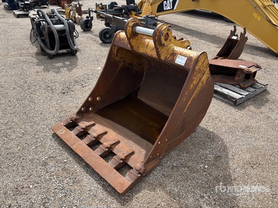 Cat 44 in Digging Excavator Bucket