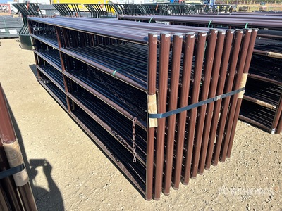Quantity of (20) 2026 BYT RG5012 12 ft x 4 ft Steel Livestock Gate (Unused)