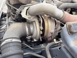 Engine with Exhaust System