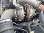 Engine with Exhaust System