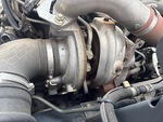 Engine with Exhaust System