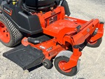 General Appearance with Paint