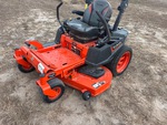 General Appearance with Paint
