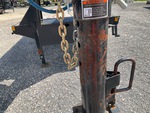 General Appearance with Paint
