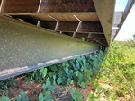 Trailer Chassis with Frame Rails/ Main Beams Condition