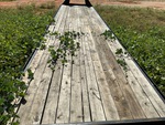 Trailer Chassis with Deck/ Floor Condition