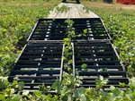 Trailer Chassis with Ramps