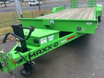General Appearance with Paint
