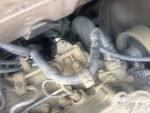 Engine with Oil Leaks