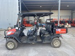 General Appearance with Pintura