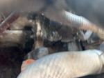 Engine with Oil Leaks
