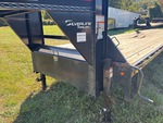 General Appearance with Paint