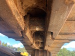 Undercarriage with Right Track Bushings