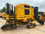 General Appearance with Paint