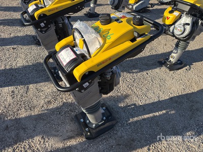 2023 Wacker Neuson Rammer BS50-2plus Dameuse sauteuse (Unused)