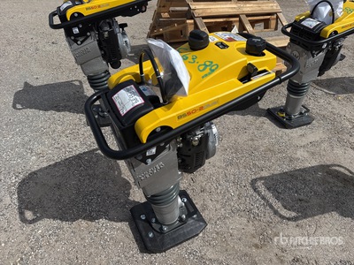 2022 Wacker Neuson Rammer BS50-2plus Pisón (Unused)