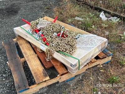 Quantity of Greatbear Ratchet Binder and Chain Divers (Unused)