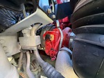 Engine with Exhaust System