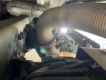 Engine with Exhaust System
