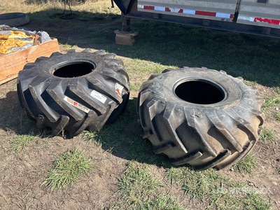 Quantity of (2) Goodyear Neumáticos
