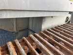 General Appearance with Paint