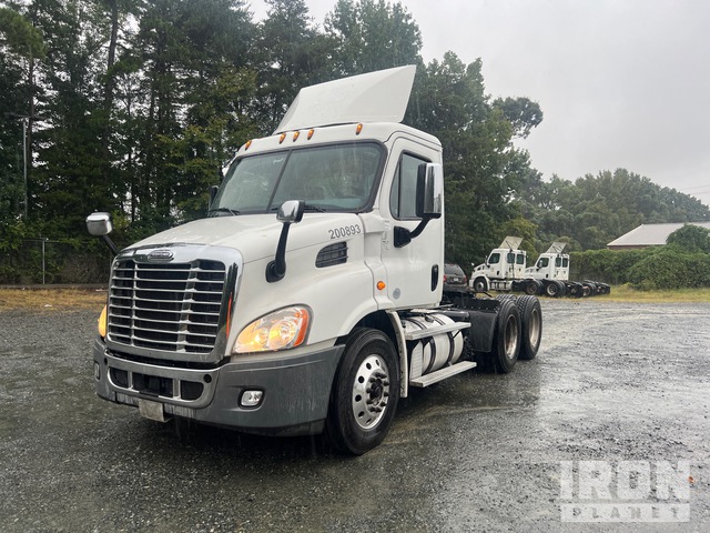 2017 Freightliner Cascadia 113