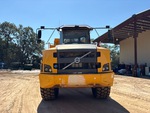 General Appearance with Paint