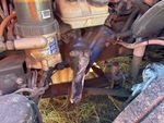 Underbody with 