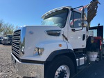 General Appearance with Paint