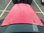 General Appearance with Paint