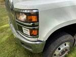 General Appearance with Paint