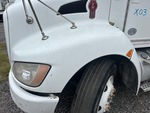 General Appearance with Paint