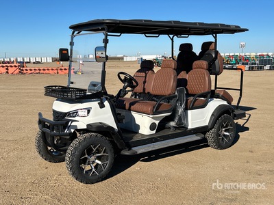 2026 Electric Carro de golf (Unused)