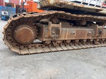 General Appearance with Paint