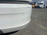 General Appearance with Paint