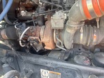 Engine with Exhaust System
