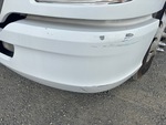 General Appearance with Paint