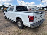 Picture, Left Rear Corner