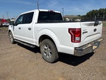 Picture, Left Rear Corner