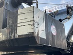 General Appearance with Paint