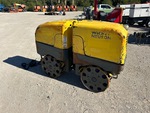 General Appearance with Paint