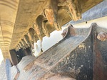 Chassis with Agarraderas de transmisión del cinturón de goma