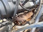 Engine with Exhaust System