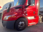 General Appearance with Paint