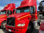General Appearance with Paint