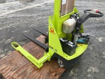 General Appearance with Paint