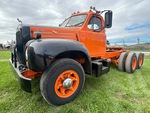 General Appearance with Paint