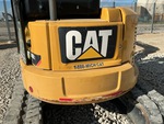 General Appearance with Paint