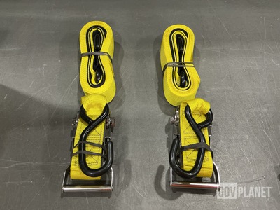 (10) Webbing Straps