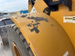 General Appearance with Paint